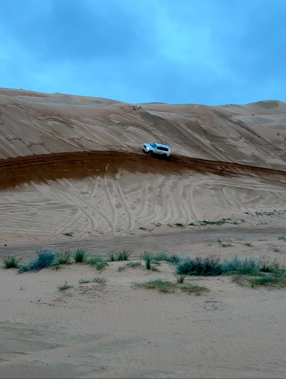 Zandduinen Oman