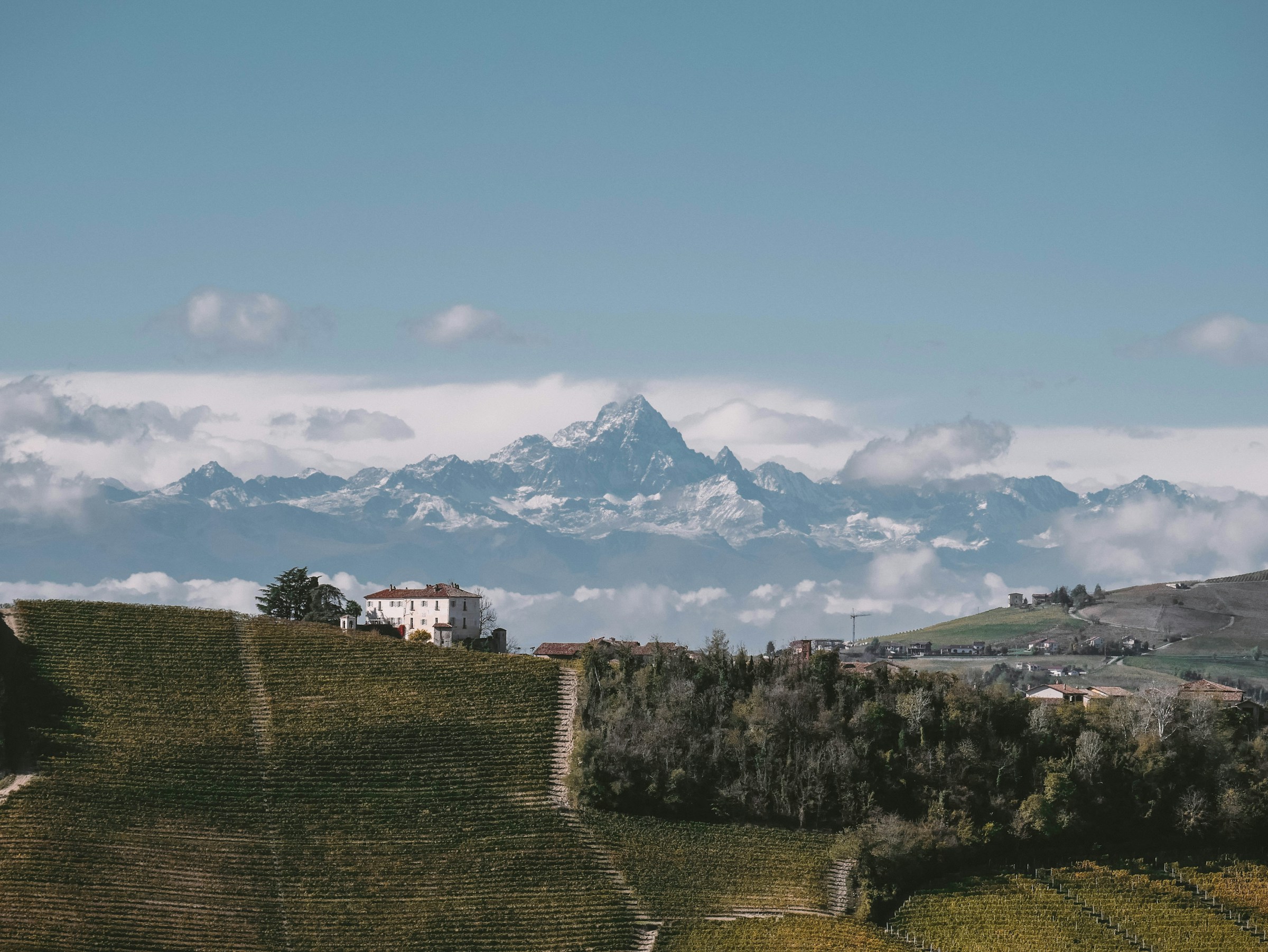 italie-piemonte-wijnvelden-met-bergen-op-de-achtergrond