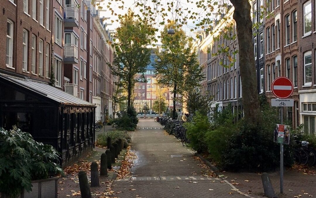 24 UUR ZUID