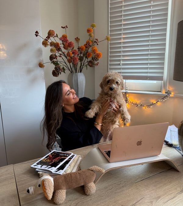 ZUID’S TROUWE VIERVOETER: JAMES