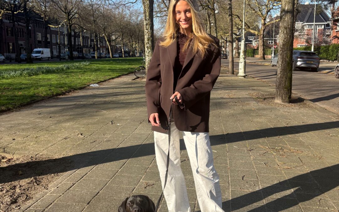 ZUID’S TROUWE VIERVOETER: HARVEY